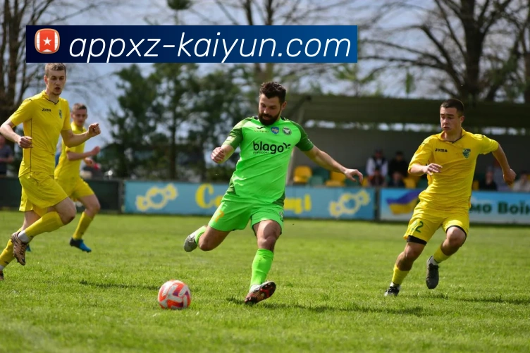 开云体育服务体系